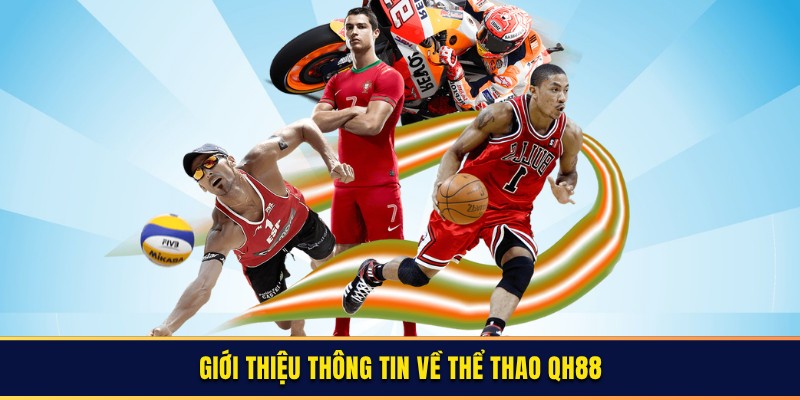 Bật mí thông tin chi tiết về sảnh thể thao QH88 